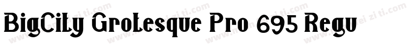 BigCity Grotesque Pro 695 Regular字体转换